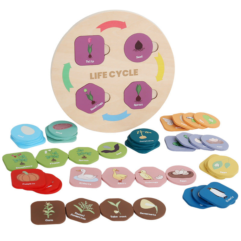 Montessori Speelgoed Levenscyclus - Set van 12 Planten en Dieren Puzzel