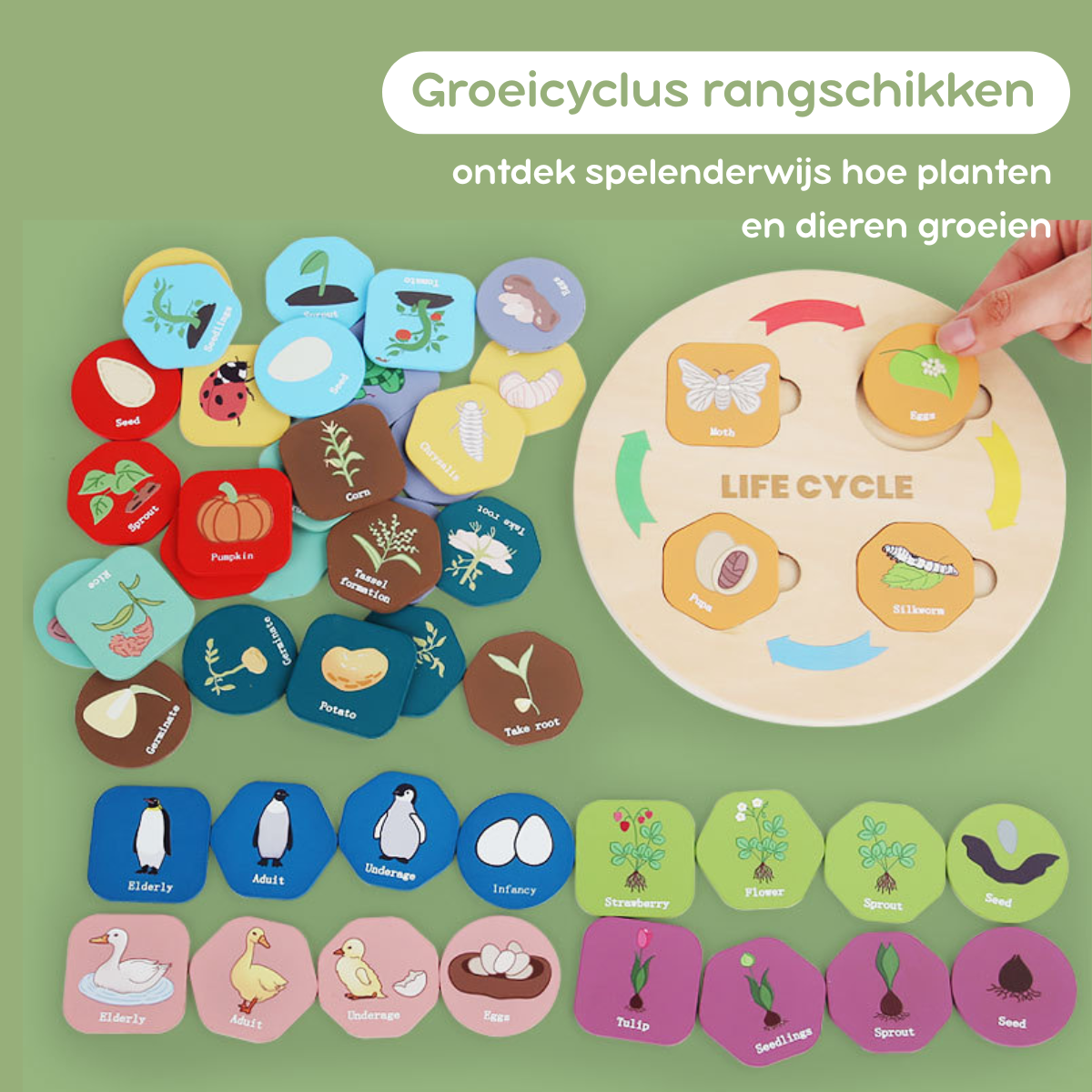 Montessori Speelgoed Levenscyclus - Set van 12 Planten en Dieren Puzzel