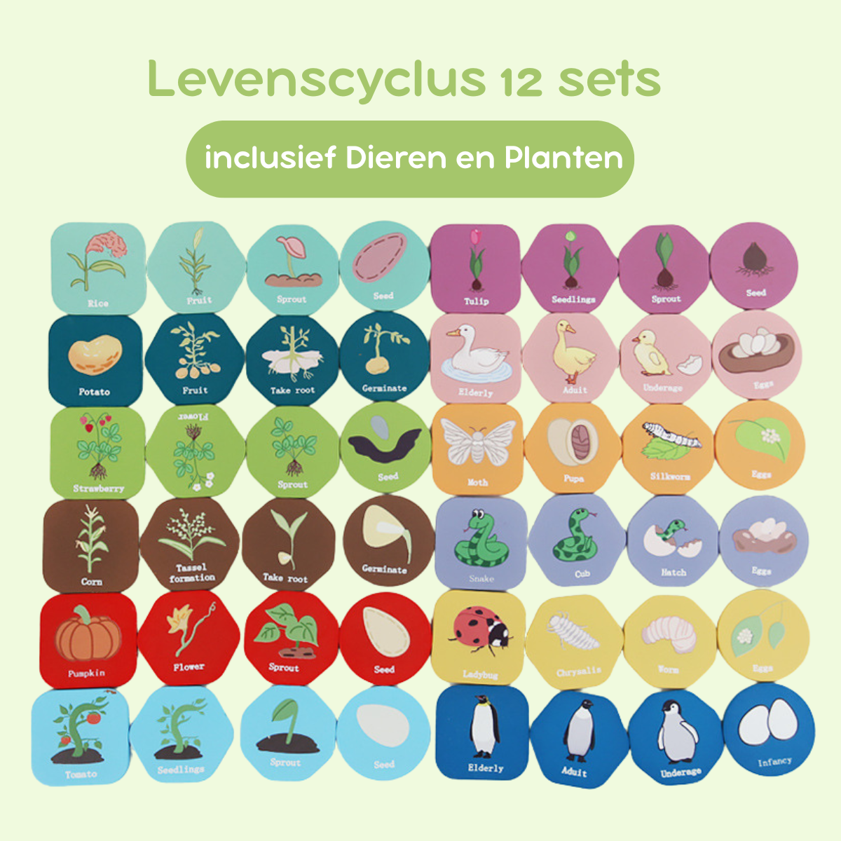 Montessori Speelgoed Levenscyclus - Set van 12 Planten en Dieren Puzzel