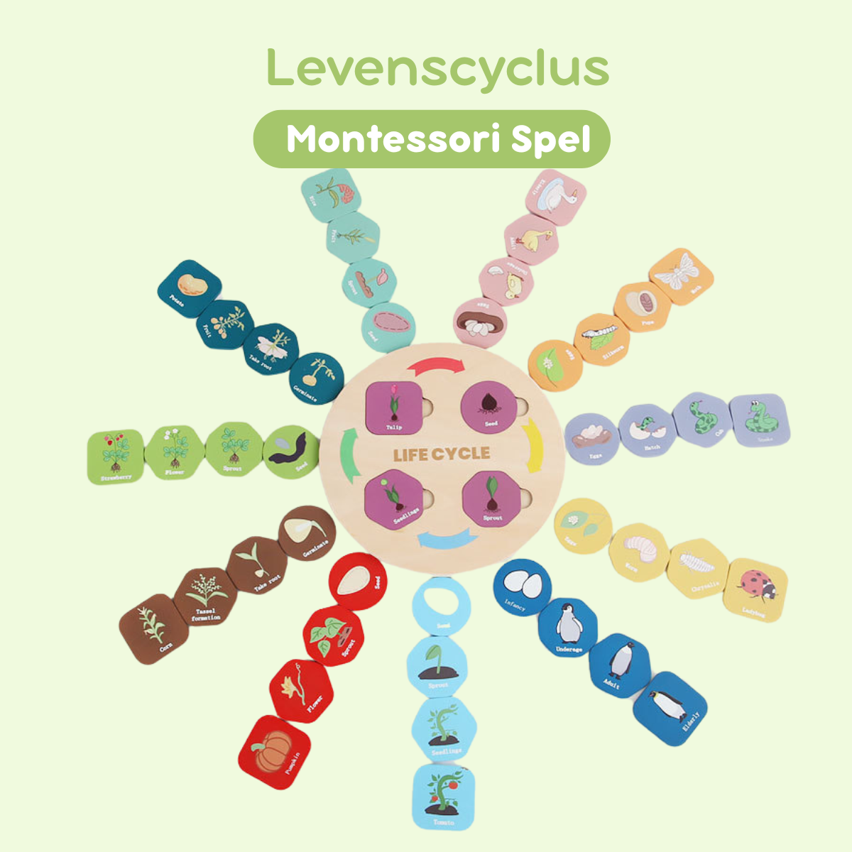 Montessori Speelgoed Levenscyclus - Set van 12 Planten en Dieren Puzzel